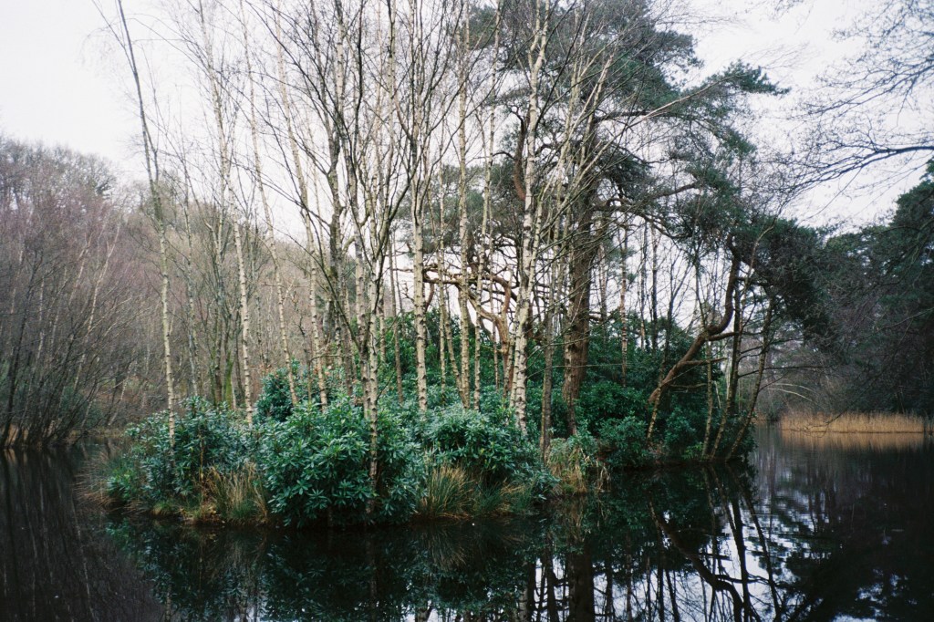 Film photos from&nbsp;home